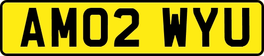 AM02WYU