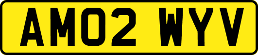 AM02WYV