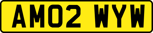 AM02WYW