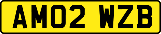 AM02WZB
