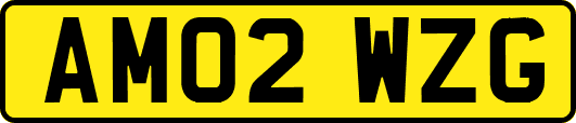 AM02WZG