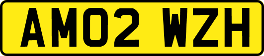 AM02WZH