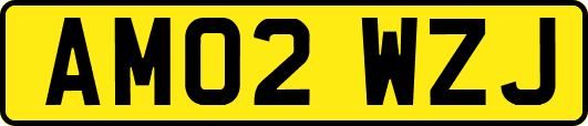 AM02WZJ