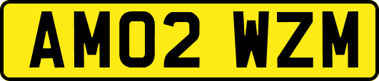 AM02WZM