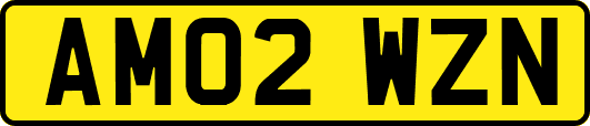 AM02WZN