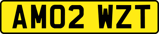 AM02WZT