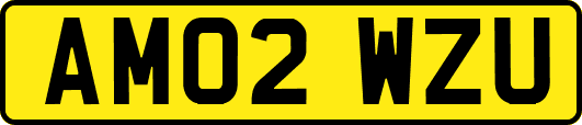 AM02WZU