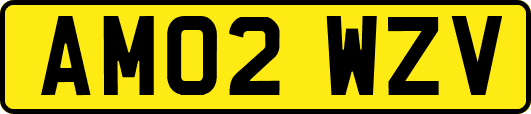 AM02WZV
