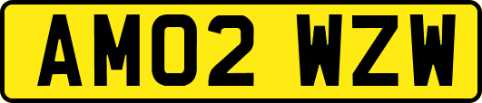 AM02WZW