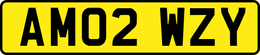 AM02WZY