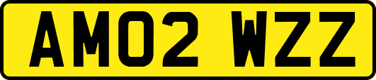 AM02WZZ