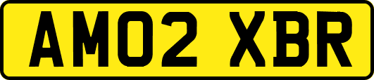 AM02XBR