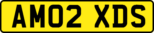 AM02XDS