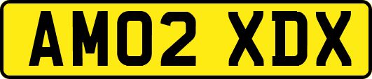 AM02XDX