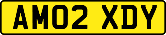 AM02XDY