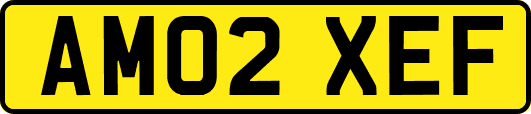 AM02XEF