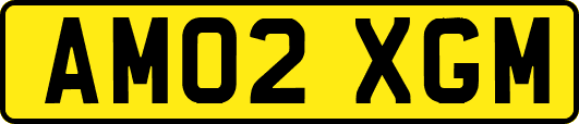 AM02XGM