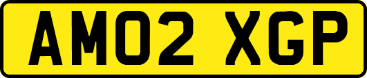 AM02XGP