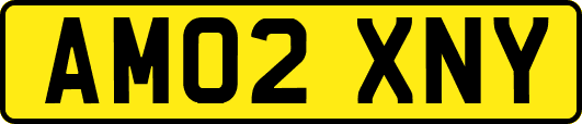 AM02XNY