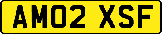 AM02XSF