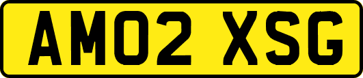 AM02XSG