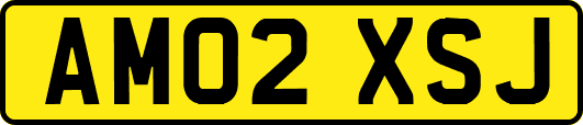AM02XSJ