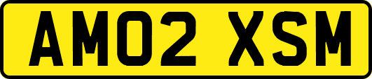 AM02XSM
