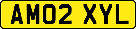 AM02XYL