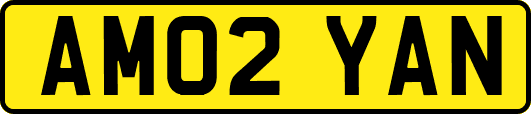 AM02YAN