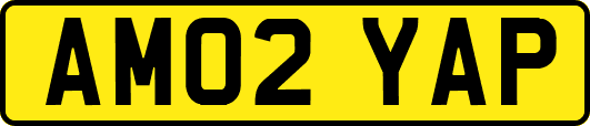 AM02YAP