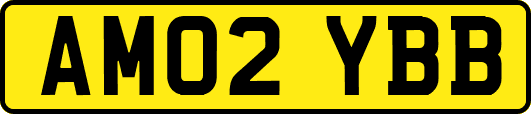 AM02YBB