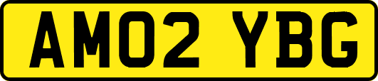 AM02YBG