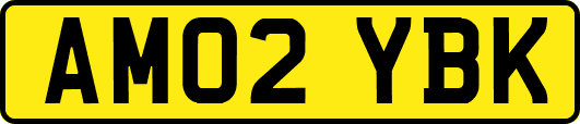 AM02YBK