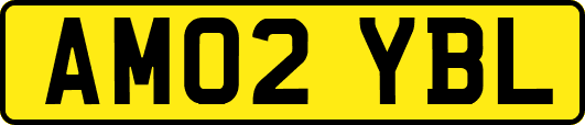 AM02YBL