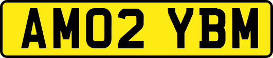 AM02YBM
