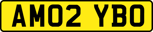 AM02YBO