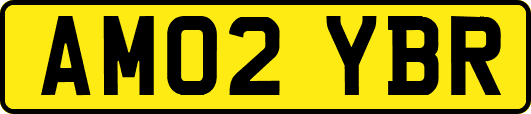 AM02YBR