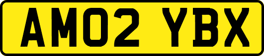 AM02YBX