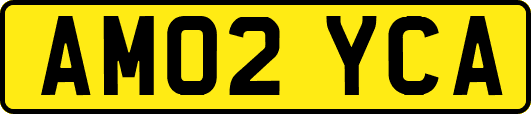 AM02YCA