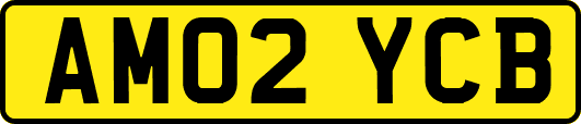AM02YCB