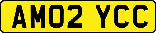 AM02YCC