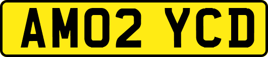 AM02YCD