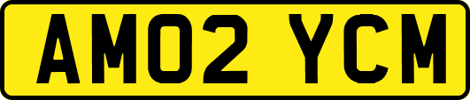 AM02YCM