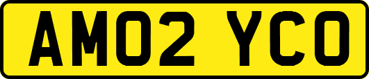 AM02YCO