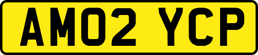 AM02YCP