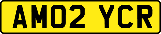 AM02YCR