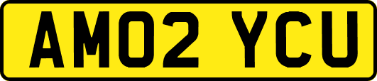 AM02YCU