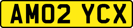 AM02YCX