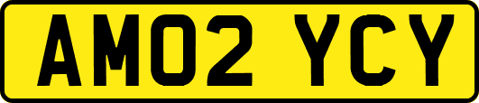 AM02YCY