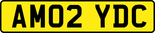 AM02YDC